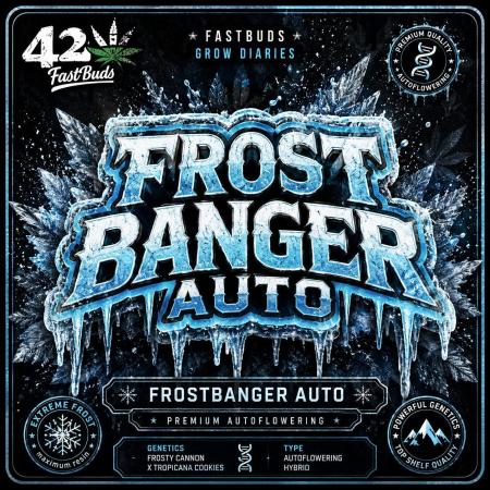 Frostbanger Auto