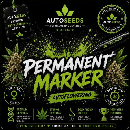 Permanent Marker Auto