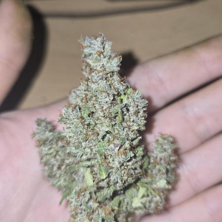 Banana Purple Punch RF3 Auto