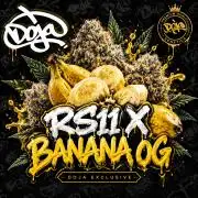 RS11 x Banana OG