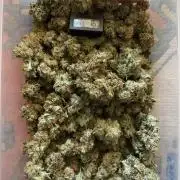 Euforia. High frequency fertigation