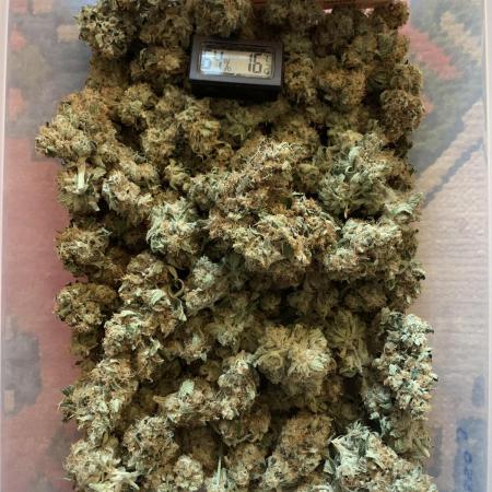 Euforia. High frequency fertigation