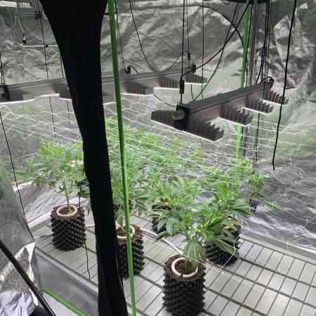 Euforia. High frequency fertigation