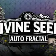 Fractal Collection #2