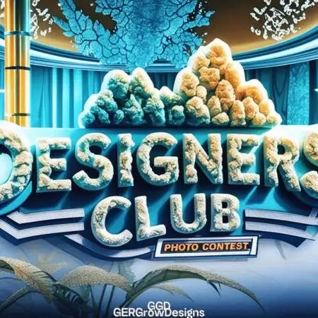 Designers Club / Photo Contest