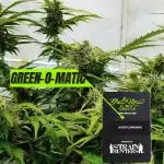 Green O Matic LST