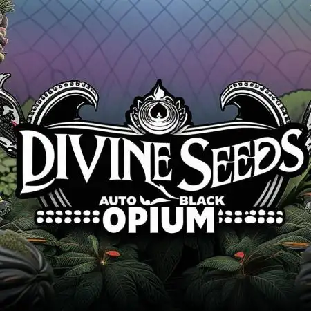 Opium goes Black #2