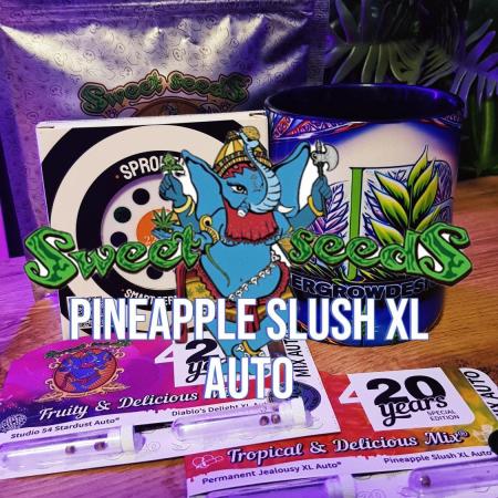 Summer Slush Pineapple Deluxe