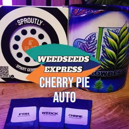 Delicius Cherry Pie