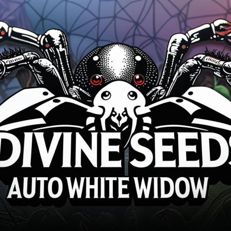 Widow Collection #2