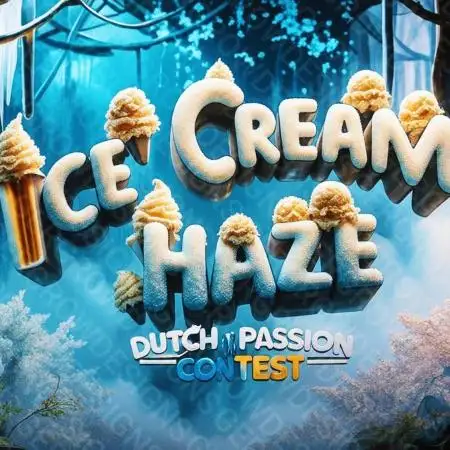 Dutch Passion Competition