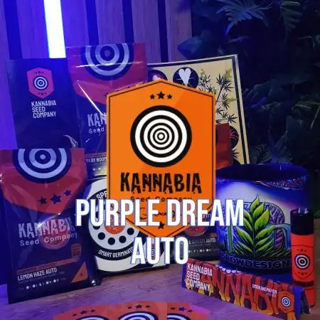 A Sweet Pruple Dream