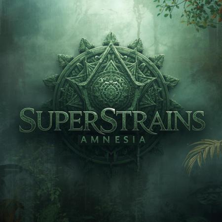 Home Of The Amnesia