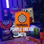 A Sweet Pruple Dream