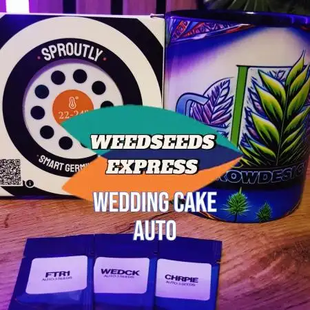 Cook Some Cake