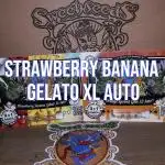 Gelato with Fruity Addition
