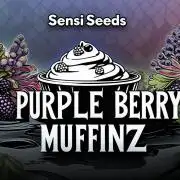 Muffinz Fusion