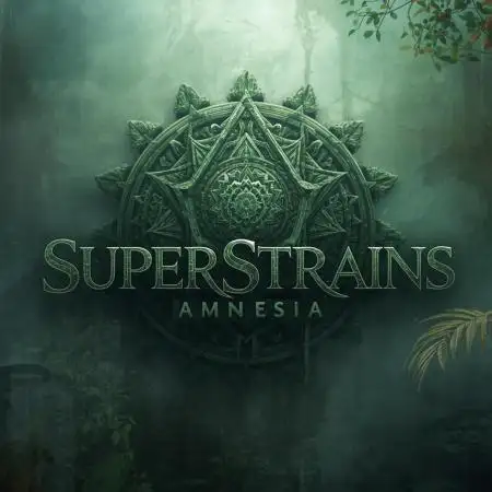 Home Of The Amnesia
