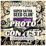 Designers Club