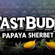 Sherbet with Paya