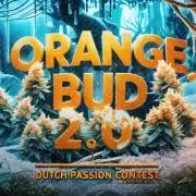 Dutch Passion Competition