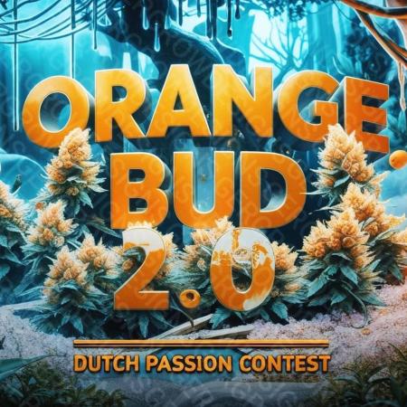 Dutch Passion Competition