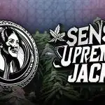 Where's Jack ?