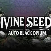 Opium goes Black #1