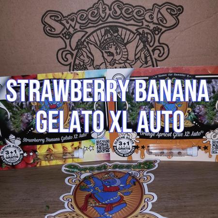 Gelato with Fruity Addition