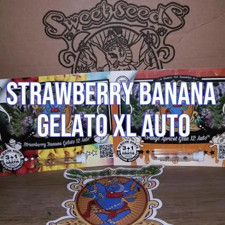 Gelato with Fruity Addition