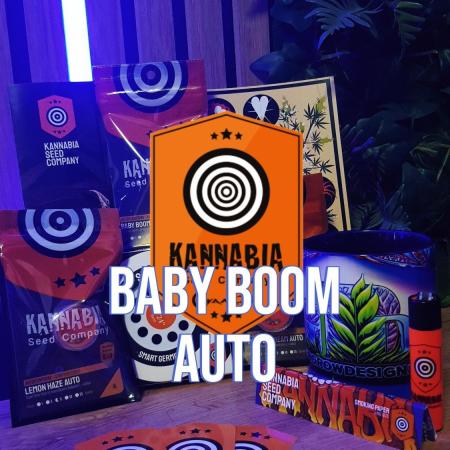 A Baby to Boom