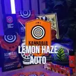 Some Lemon with Haze
