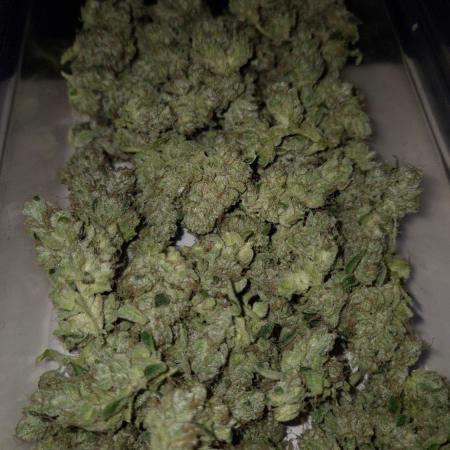 GG4 - FastBuds