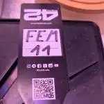 Fem 11 - Photoperiodic TestSeed FastBuds