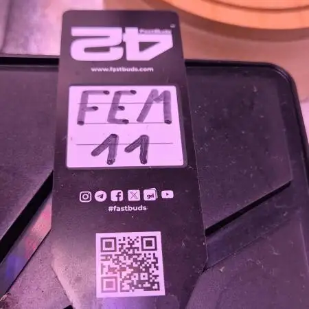 Fem 11 - Photoperiodic TestSeed FastBuds