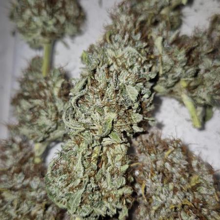 Bubble Kush | aka. Bubba Kush | RQS + Indoor