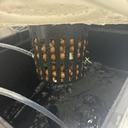 Hydroponic