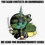 Spannabis 2025