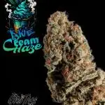 Good Times Genetics: Blue Cream Haze Reg