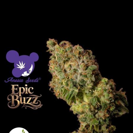 Epic Buzz - Anesia - Bio Tabs NL - VS.