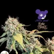 Epic Buzz - Anesia - Bio Tabs NL - VS.