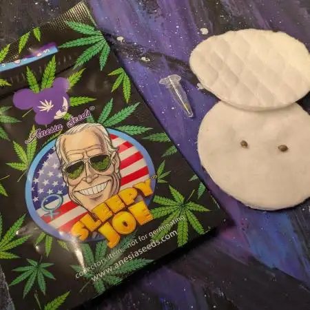 Sleepy Joe - Anesia Seeds - Organic Grow