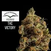 THC - Victory #2 - Sponsored by Biotabs