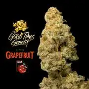 DMO Grapefruit #2 - Good Times Genetics