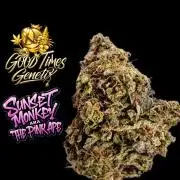 Sunset Monkey - Good Times Genetix - BTN