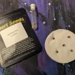GG#4 Regular - Expert Seeds
