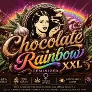 Chocolate Rainbow XXL -Sensi Seeds-BTNL