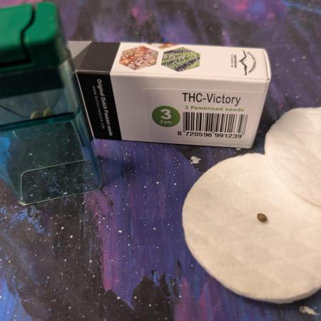 THC-Victory - Dutch Passion - Organic