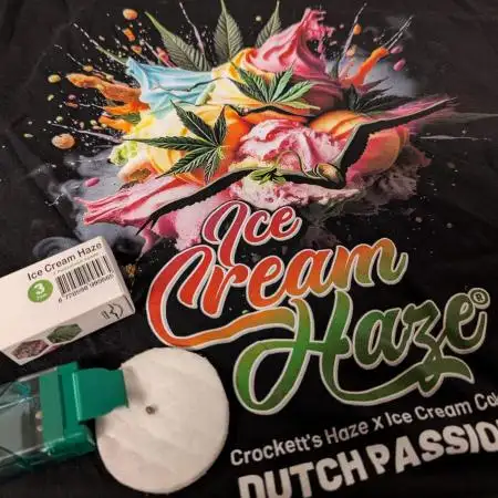 Ice Cream Haze - Dutch Passion Contest
