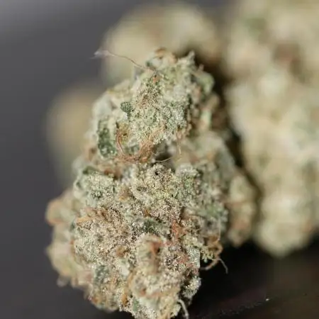 Blue Applez